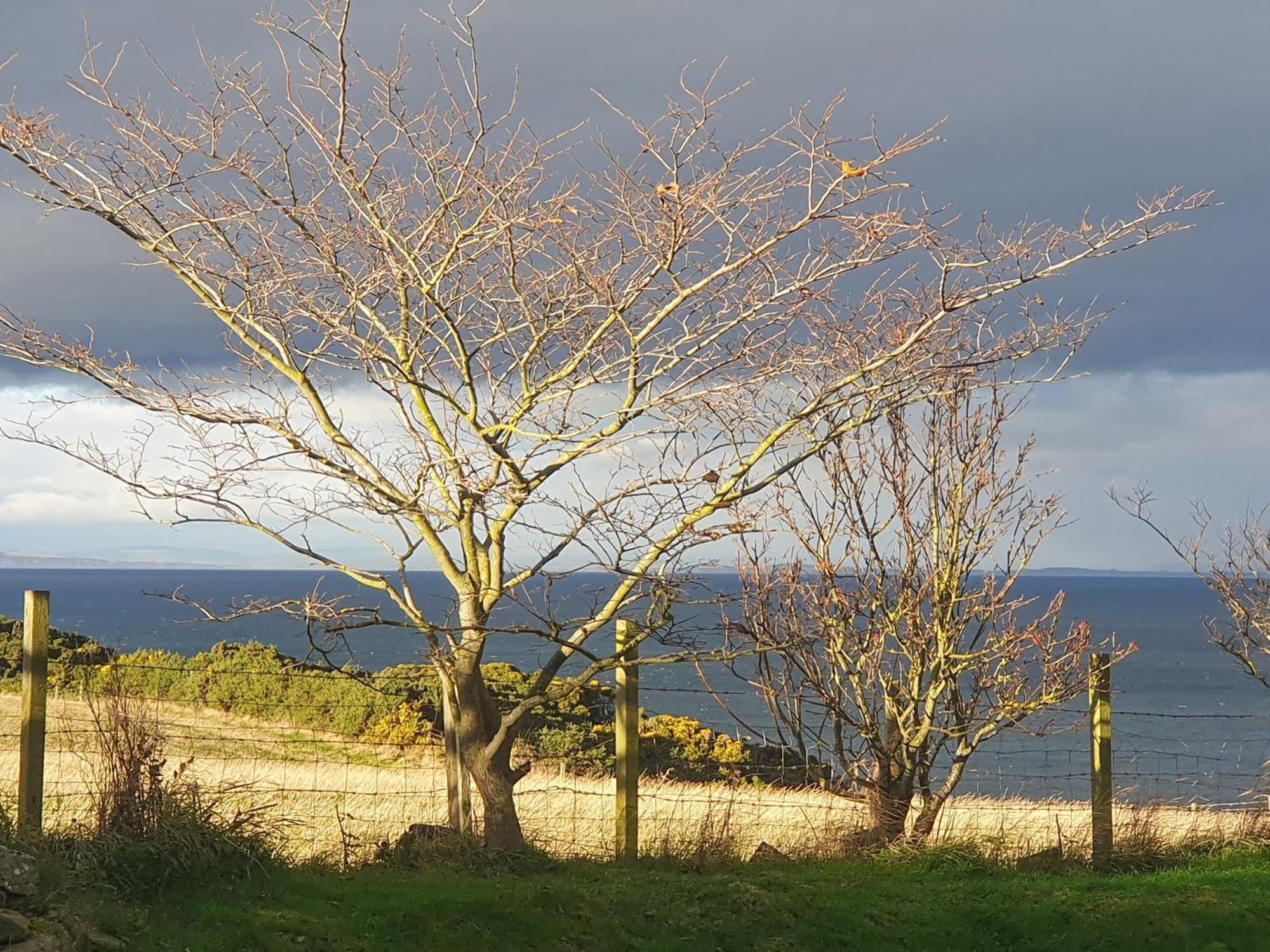 Shelterstone Villa Elgin Bagian luar foto